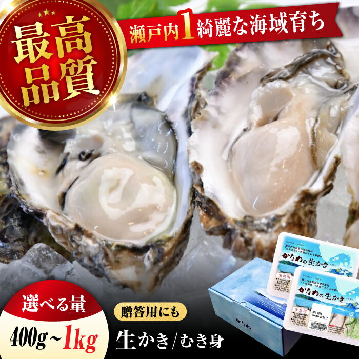 【ふるさと納税】広島牡蠣の老舗かなわ【生牡蠣】【選べる内容量】安心・安全の新鮮牡蠣 牡蠣 400g〜1kg かき むき身 パック入り 生食用 魚介類 海鮮 広島県産 江田島市/株式会社かなわ[XBP001] 牡蠣 生食 むき身 殻付き かき カキ 生牡蠣 カキフライ 広島牡蠣