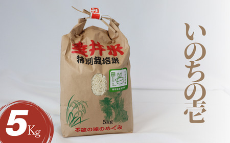 令和7年産 【新米】 特別栽培米 垂井町産 いのちの壱 5kg ｜ お米 米 こめ コメ 白米 精米 ご飯 ライス 産地直送 ギフト 贈答用 プレゼント 岐阜県産