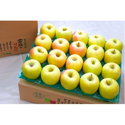 【26年1月出荷予定】平均糖度13度以上! ぐんま名月 約10kg 訳あり【配送不可地域：離島・沖縄県】