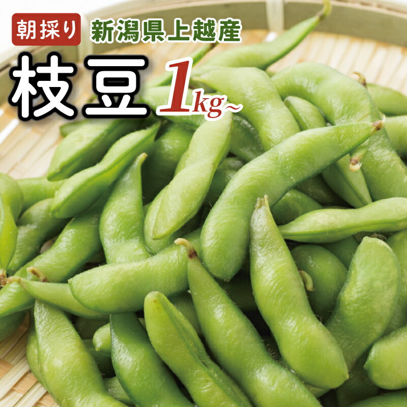 【ふるさと納税】【数量限定】朝採りを産地から当日発送！ 新潟上越「高田圃場」の採れたて枝豆 選べる容量 上越市 えだまめ　お届け：2025年8月20日まで