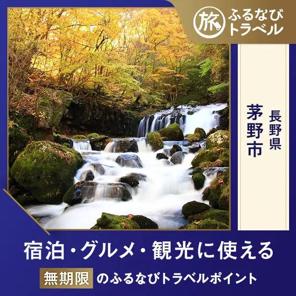 【旅行支援・宿泊無期限】旅行ポイント茅野市ふるなびトラベルポイント