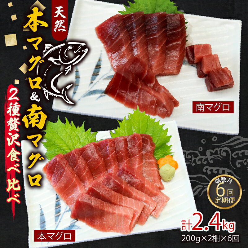 【ふるさと納税】 【6回定期便】 天然本マグロ　天然南マグロ　中トロ　各1柵　偶数月にお届け 刺身 漬け丼 海鮮丼 マグロ丼 ちらし寿司 鮪 まぐろ ネギトロ丼 魚介 惣菜 冷凍 送料無料 海鮮 冷凍 さしみ 高知 室戸 マグロ 寿司 高級＜eb018＞