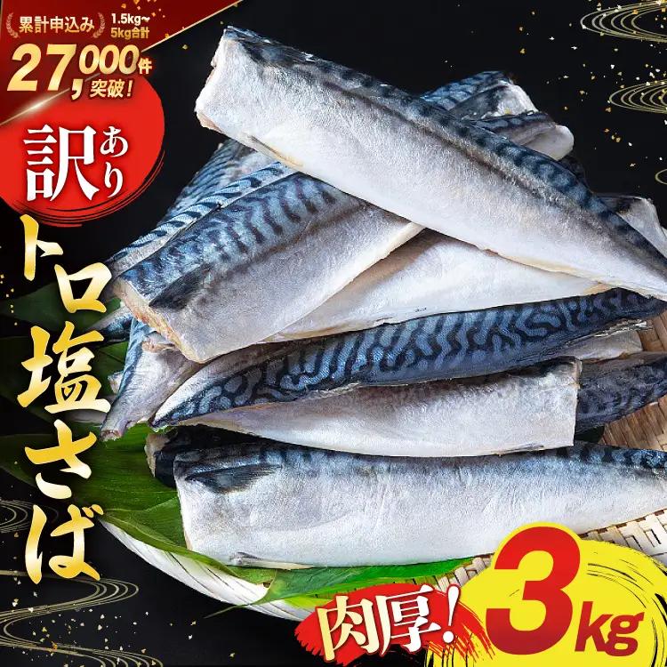 【ふるなびWEEK対象】 訳あり 塩サバ 3kg [宮城県 気仙沼市 20564146] サバ 鯖 FN-Limited-PR