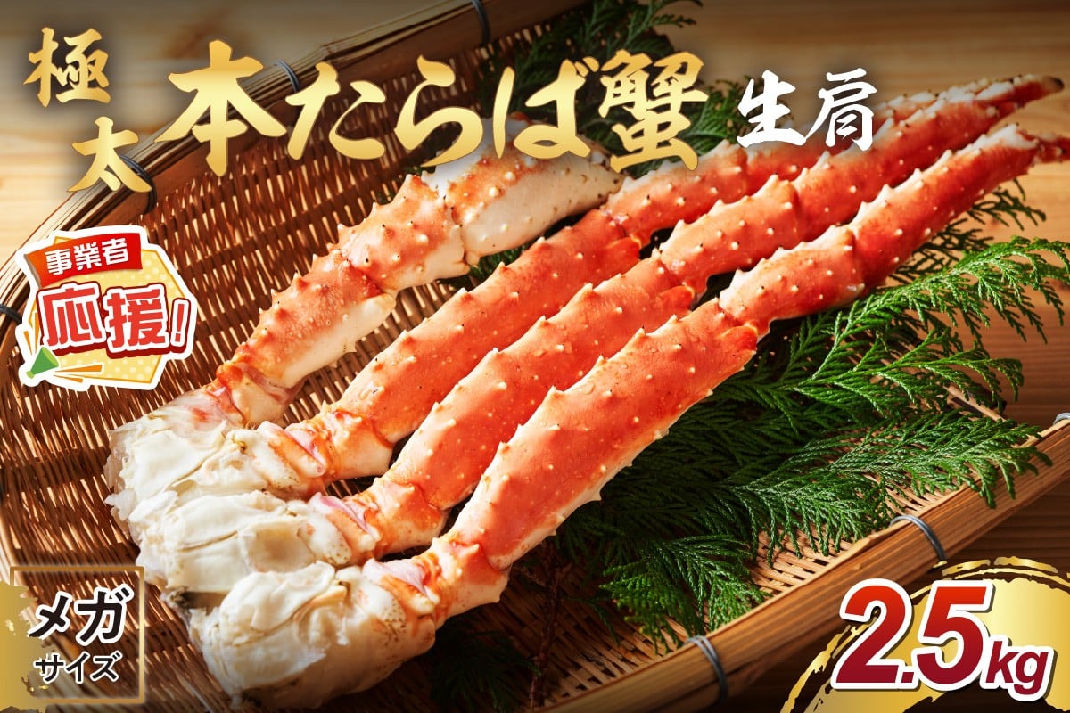 
            【1肩約2.5kgの超極太10L以上メガサイズ】本たらば蟹 生肩 約2.5kg【ふるさと納税3.0】【087B-039】
          