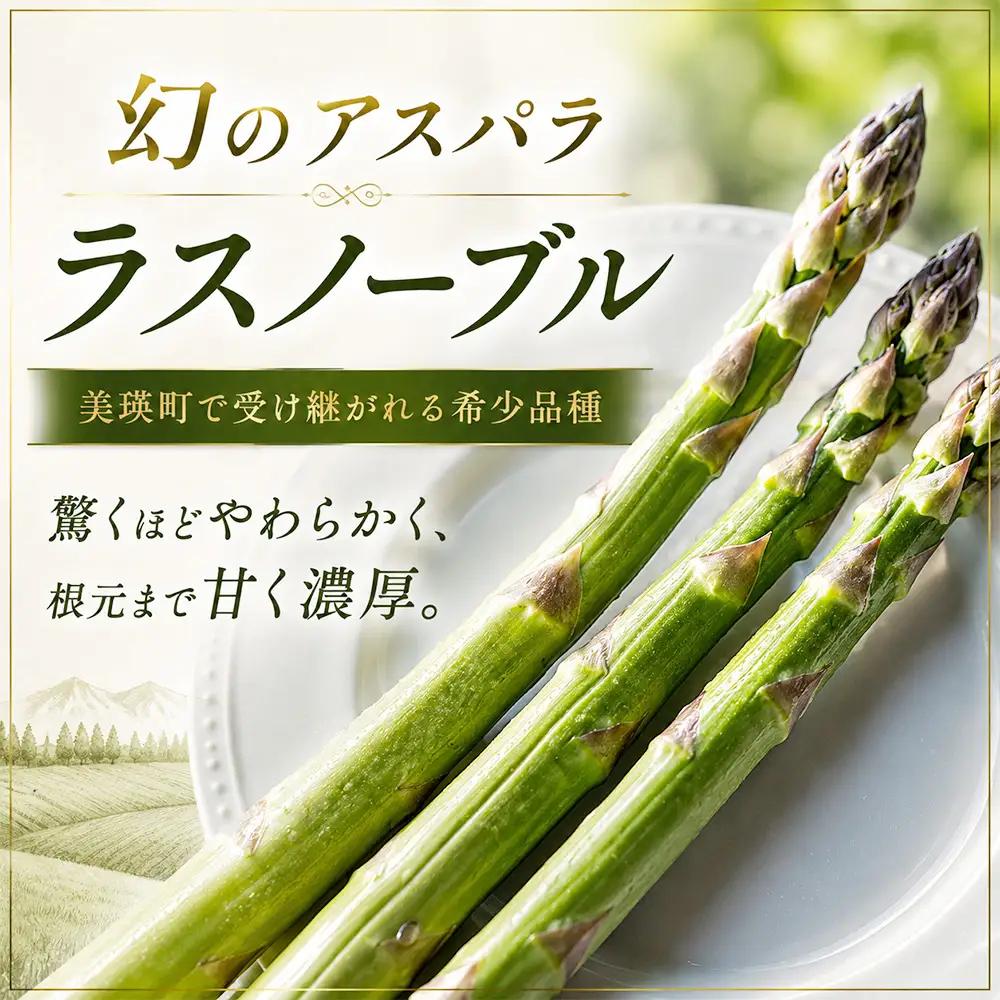 野菜定期便 3回便【令和9年産先行予約】本山農場の野菜定期便（大）野菜 セット