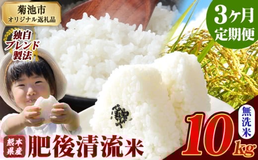 【3ヶ月定期便】熊本県産 無洗米 肥後清流米 10kg 熊本県産 ふるさと納税 精米 米 こめ ふるさとのうぜい コメ お米 おこめ《1月から出荷開始》