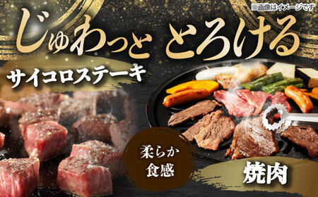 【8回定期便】 飛騨牛を食べつくす！ 飛騨牛 プレミアム 定期便 4人前 ( しゃぶしゃぶ × すき焼き × サイコロステーキ × 焼肉 ) 各1kg A4等級以上  多治見市 / 渡辺精肉店 和牛 