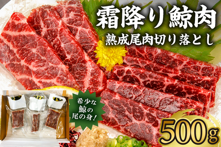 霜降り鯨肉/熟成尾肉（尾の身）切り落とし500g【訳あり不揃い】 mi0012-0045