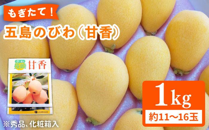 
            【数量限定】もぎたて！五島のびわ（甘香）化粧箱入 秀品 500g【ごとう農業協同組合】[PEM002]
          