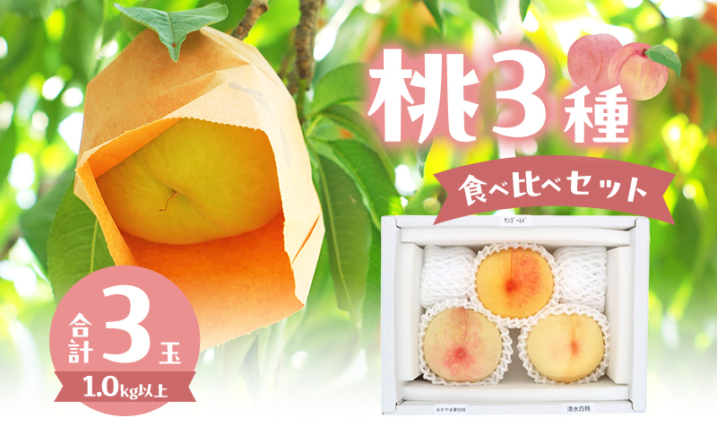 桃 2025年 数量限定 桃3種食べ比べセット 3種×各1玉 計1.0kg以上 岡山県 赤磐市産