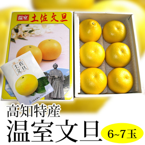 【C06037】温室　水晶文旦　3kg・6～7玉　特産品[期間限定品]