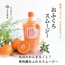 【ふるさと納税】【早和果樹園】おふくろスムージー有田みかん30本入 飲むタイプのみかんゼリー(A624-1)