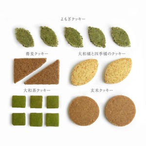 くるみの木 奈良のクッキー【krm11】