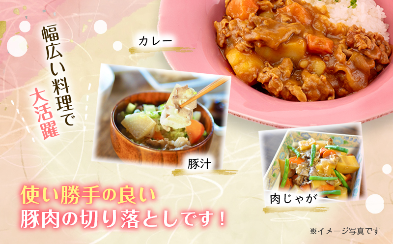 宮崎県産 豚肉切り落とし 合計4.2kg(300g×14パック)_M262-001