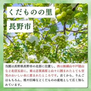 先行予約 長野市産サンふじ家庭用 約10kg 2024年12月～2月発送　※オンライン決済限定
