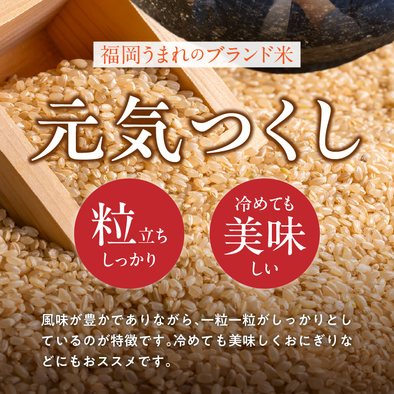 【定期便2回】【令和8年産 新米】福岡県産ブランド米元気つくし 玄米 10kg×2回 _  元気つくし 10kg お届け回数 2回 定期便 福岡県産 ブランド米 新米 福岡生まれ 品種 香り豊か ふっ