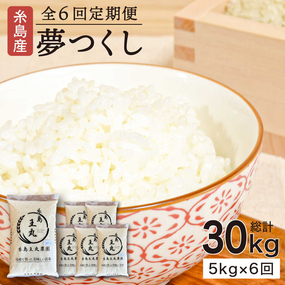 【ふるさと納税】【全6回定期便】 糸島産 夢つくし 5kg × 6回 (月1回)糸島市 / 糸島王丸農園（谷口汰一）【いとしまごころ】[AAZ003] 常温 米 白米8万7千円 87000円