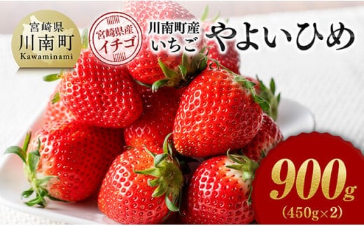 
										
										川南町産 いちご「やよいひめ」900ｇ（450ｇ×2）【 期間限定 果物 イチゴ 苺 やよいひめ フルーツ 】[D11202]
									