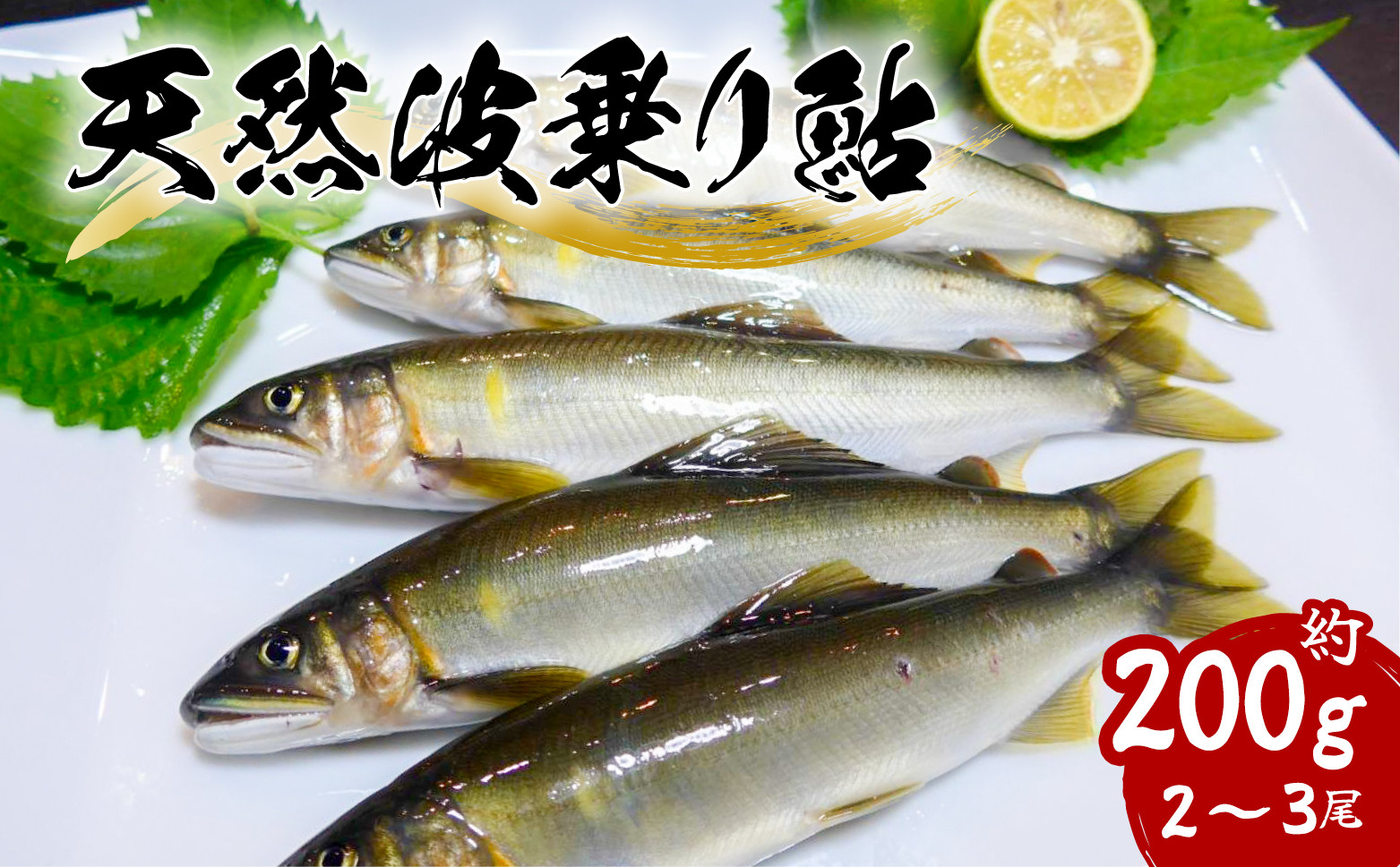 
先行予約 天然波乗り鮎 約200g 2～3尾 鮎 天然 約200g あゆ アユ 天然鮎 清流 海部川 川魚 冷凍 【2024年8月以降にお届け】
