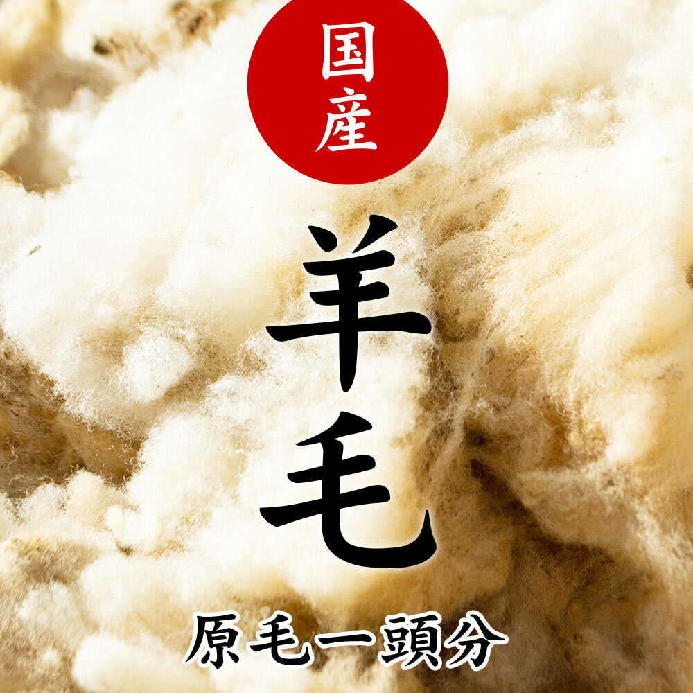 【ふるさと納税】早期予約 国産 羊毛（ 原毛一頭分 2〜3kg ）2026年4月以降発送 手紡ぎ 期間限定 数量限定