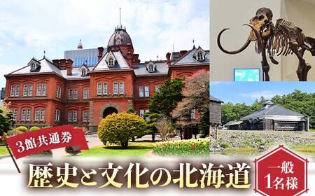 歴史と文化の北海道3館共通券 一般1名様分 人気 おすすめ 利用券 チケット F6S-519