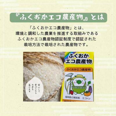 ふるさと納税 中間市 【毎月定期便】農家の直送米　ふくおかエコ農産物【農家のお米】6kg全6回 |  | 01