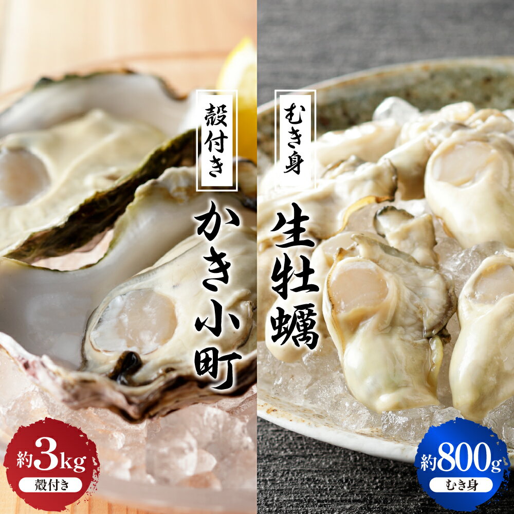 【ふるさと納税】 先行予約 【 2025年 12月 より発送】丸十水産 生牡蠣 特選 むき身 800g 殻付き かき小町 約3kg (15〜21個) セット 冷蔵便 国産 生食 音戸産 特選 牡蠣 かき カキ 旨味 濃厚 新鮮 美味しい 先行受付 旬 お取り寄せ 送料無料 産地直送 広島県 呉市