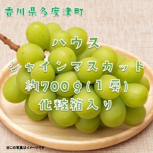 ハウスシャインマスカット　１房　化粧箱【令和8年7月下旬頃発送!予約受付中!】【B-35】