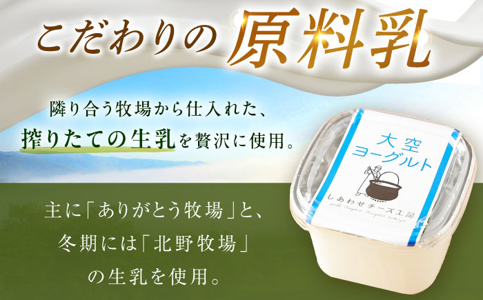 できたて直送「大空 ヨーグルト 」 400g×4個《足寄町》【しあわせチーズ工房】ヨーグルト 乳製品 牛乳 乳酸菌 免疫力 美味しい 高評価 おすすめ ギフト 400g 足寄町産 北海道産 道産 あし