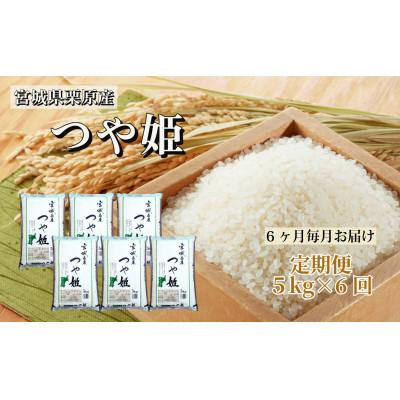 ふるさと納税 栗原市 【毎月定期便】つや姫白米5kg 宮城県栗原産全6回