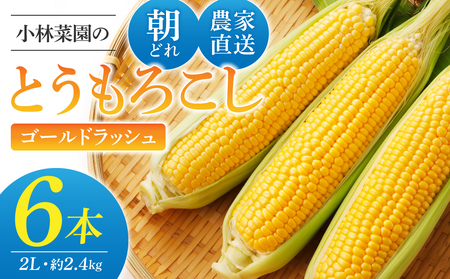 【先行受付2026年発送】農家直送！とうもろこし（ゴールドラッシュ）６本｜小林菜園 ※2026年8月上旬以降発送予定　とうもろこしとうもろこしとうもろこしとうもろこしとうもろこし