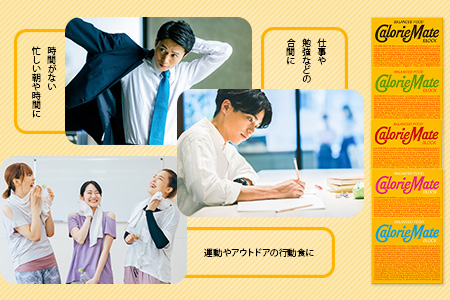 【12回定期便：合計720箱】 カロリーメイト ブロック 4本入り 5種類 各12箱 計60箱 【大塚製薬 定期便 チョコ バニラ メープル チーズ フルーツ 5大栄養素 徳島県 那賀町 非常食 常備