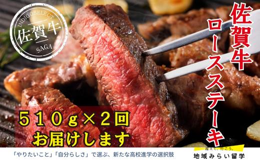 
            【定期便】佐賀牛ロースステーキ510g×2回 計1020g
          