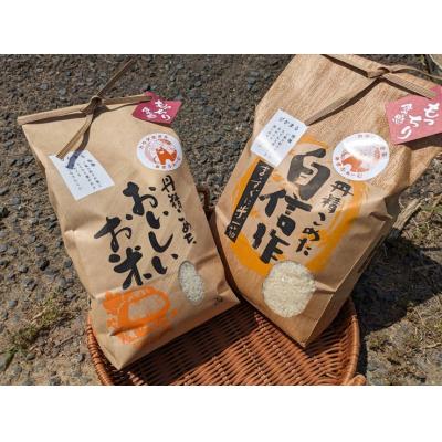 ふるさと納税 宗像市 令和7年産 新米先行予約!むなかた産 米 ぴかまる 5kg【みきふぁーむ】_HA1543 |  | 01