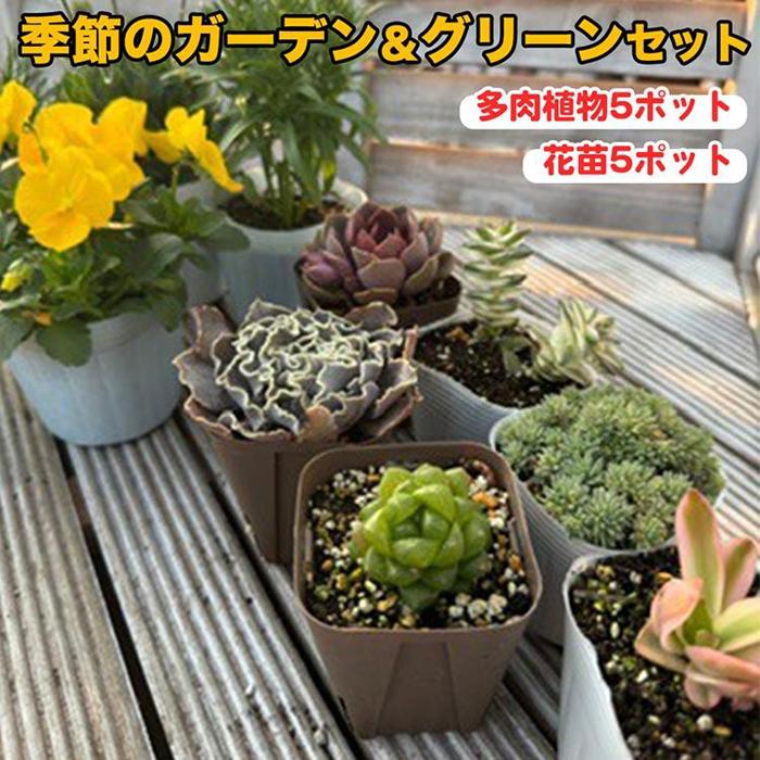 【ふるさと納税】811.季節のガーデン＆グリーンセット　※離島への配送不可 | ガーデニング 園芸 植物 花 花苗 初心者 初心者向け