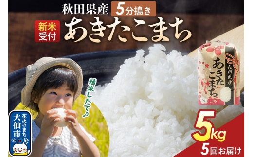 《令和8年産新米予約》 《定期便5ヶ月》【5分搗き】あきたこまち 5kg 秋田県産 こまちライン 秋田県 大仙市産 [秋田 お米 米どころ あきたこまち こまちライン]