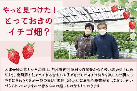 いちごアイス2種×5個セット やっと見つけた！とっておきのイチゴ畑？ 熊本県南阿蘇村《30日以内に出荷予定(土日祝除く)》苺 イチゴ アイス ジェラート---isms_fyatoaice_30d_23_15000_10p---