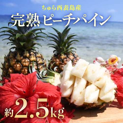 2026年 先行予約 ピーチパイン 約2.5kg 3?5玉 ちゅら西表島産!! ゆたか農園 完熟 パイン 果物 フルーツ パイナップル