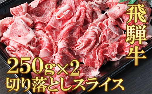 
【飛騨牛】切落しスライス(250g×2)
