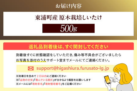 東浦町産 原木栽培生しいたけ（約500g）