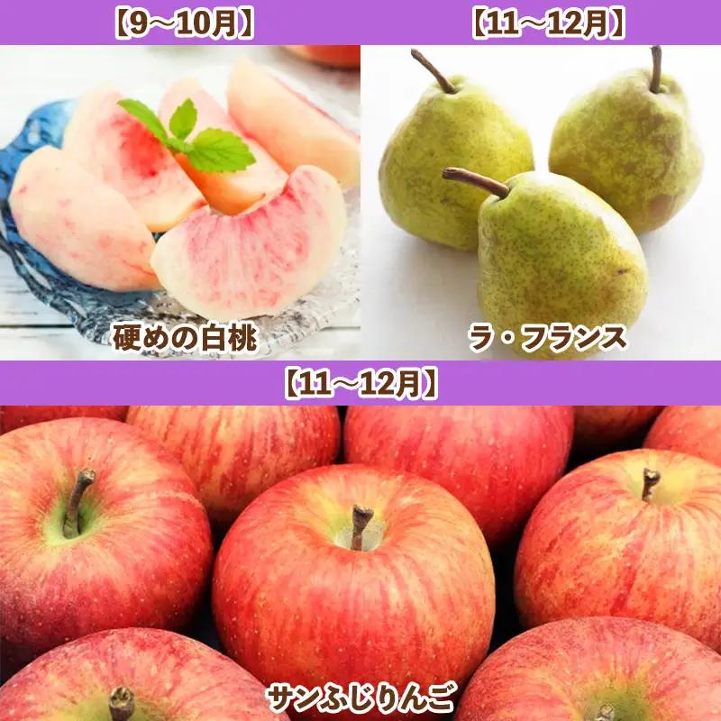 【定期便6回】フルーツBOX  FZ25-287