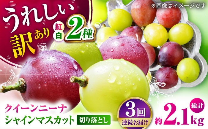 
                  ブドウ【先行予約】【3回定期便】訳あり 毎月1種類ずつお届け！紅白ぶどう2種 食べ比べ 切り落とし 約700g シャインマスカット 皮ごと クイーンニーナ 葡萄【合同会社 社方園】 [ZBZ050]
                
