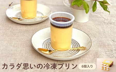 カラダ思いの冷凍プリン 6個 セット【ひみつのひとさじ】