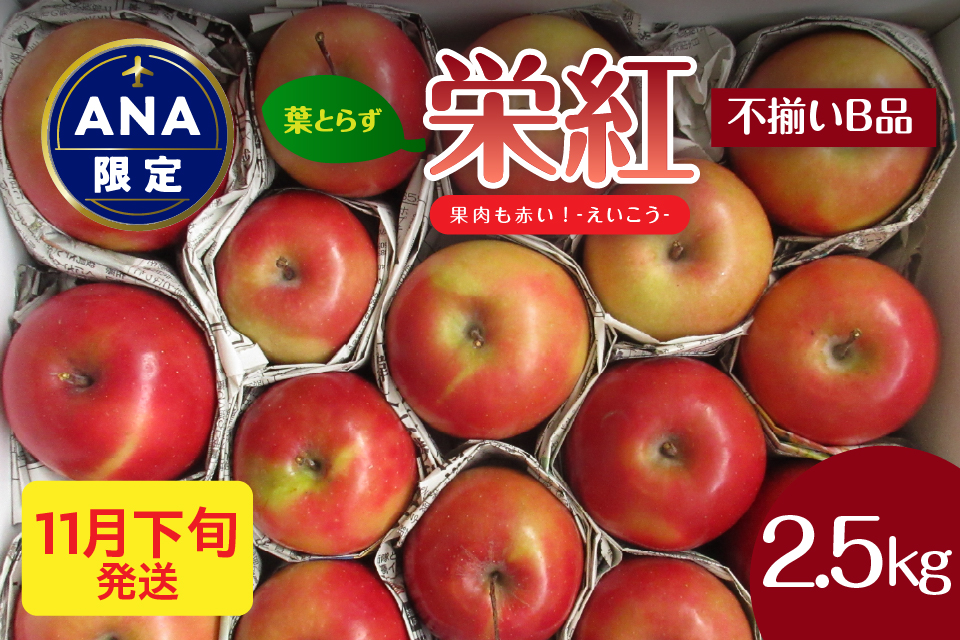 【ANA限定】中まで赤～いりんご<栄紅>【2025年11月下旬発送】 葉とらずりんご 訳あり 約2.5kg 不揃い B品 家庭用 青森県 五所川原市 りんご リンゴ