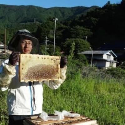 ふるさと納税 道志村 道志村産　天然はちみつ(ボトルタイプ)500g×2本 |  | 01