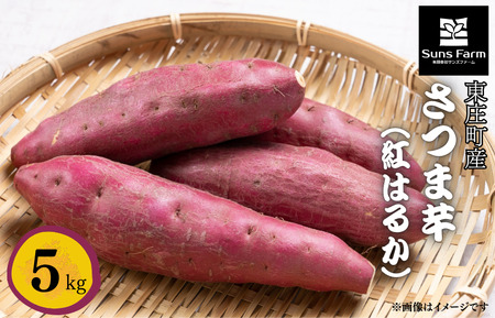 東庄町産　さつま芋（紅はるか）　5kg ／ さつま芋 さつまいも サツマイモ 薩摩芋 甘藷 唐芋 紅はるか べにはるか ベニハルカ 芋 いも イモ 農薬不使用 化学肥料不使用 除草剤不使用 産地直送 千葉県 東庄町 送料無料