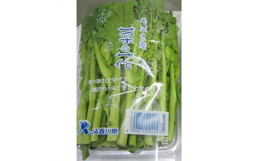 旬の野菜 菜の花 (パック入り) 約600g【2024-12月上旬～2025-3月下旬配送】