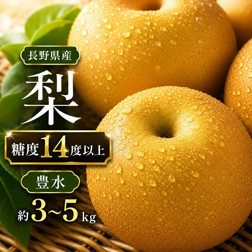 【ふるさと納税】【2026年先行予約】梨 豊水 糖度14度以上【選べる容量】約3kg 約5kg | 果物 くだもの フルーツ 豊水梨 梨 なし ナシ 新鮮 長野県 信州 南信州 飯田市 AR12 AR13