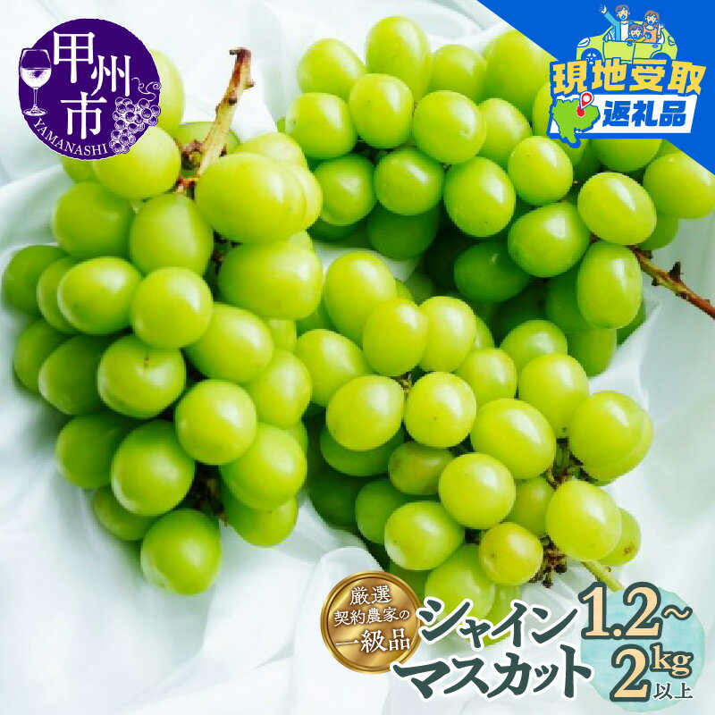 【ふるさと納税】 【楽天限定】 シャインマスカット 現地受取 引換券 2～5房 選べる内容量 1.2kg以上～2kg以上 果物 くだもの フルーツ ぶどう 葡萄 期間限定 2025年 9月 ギフト 家庭用 贈答 山梨 甲州市 人気 新鮮 厳選 社員マスカット （SFL）