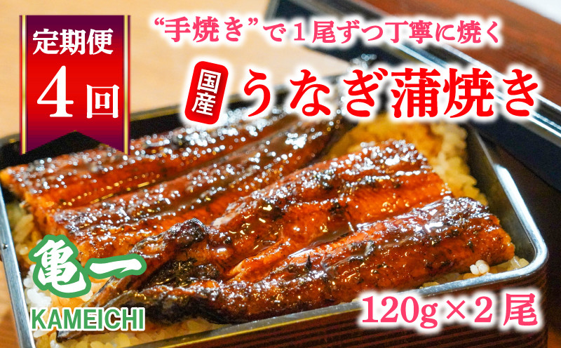 
定期便 4回 うなぎ 蒲焼 約120g 2本 手焼き 鰻 タレ セット うな重 ひつまぶし うな丼 鰻丼 う巻き 蒲焼き 蒲焼 かばやき わさび 山葵 山椒 さんしょう ギフト 贈答 丑の日 冷凍 海鮮 愛媛 愛媛県 愛南町 亀一
